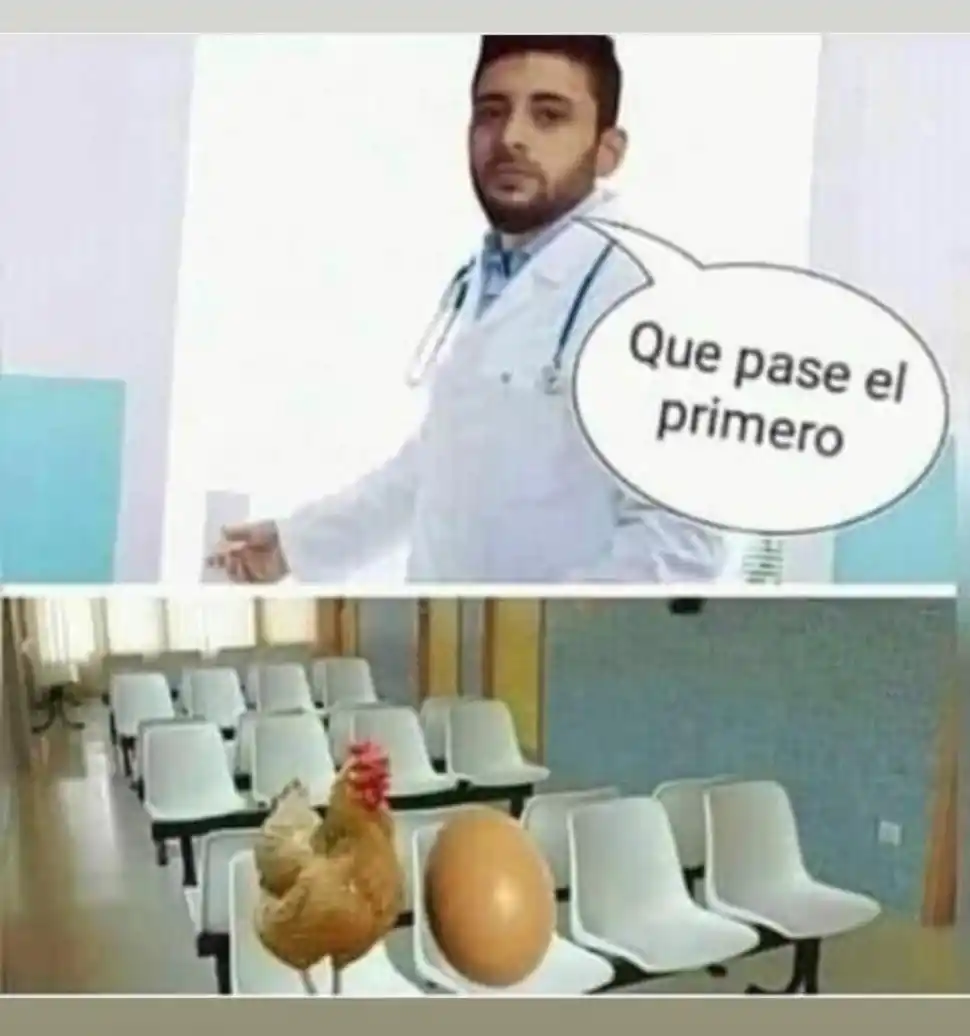 “Mrs. Pepita” y su “Memeterapia”, un servicio esencial en pandemia