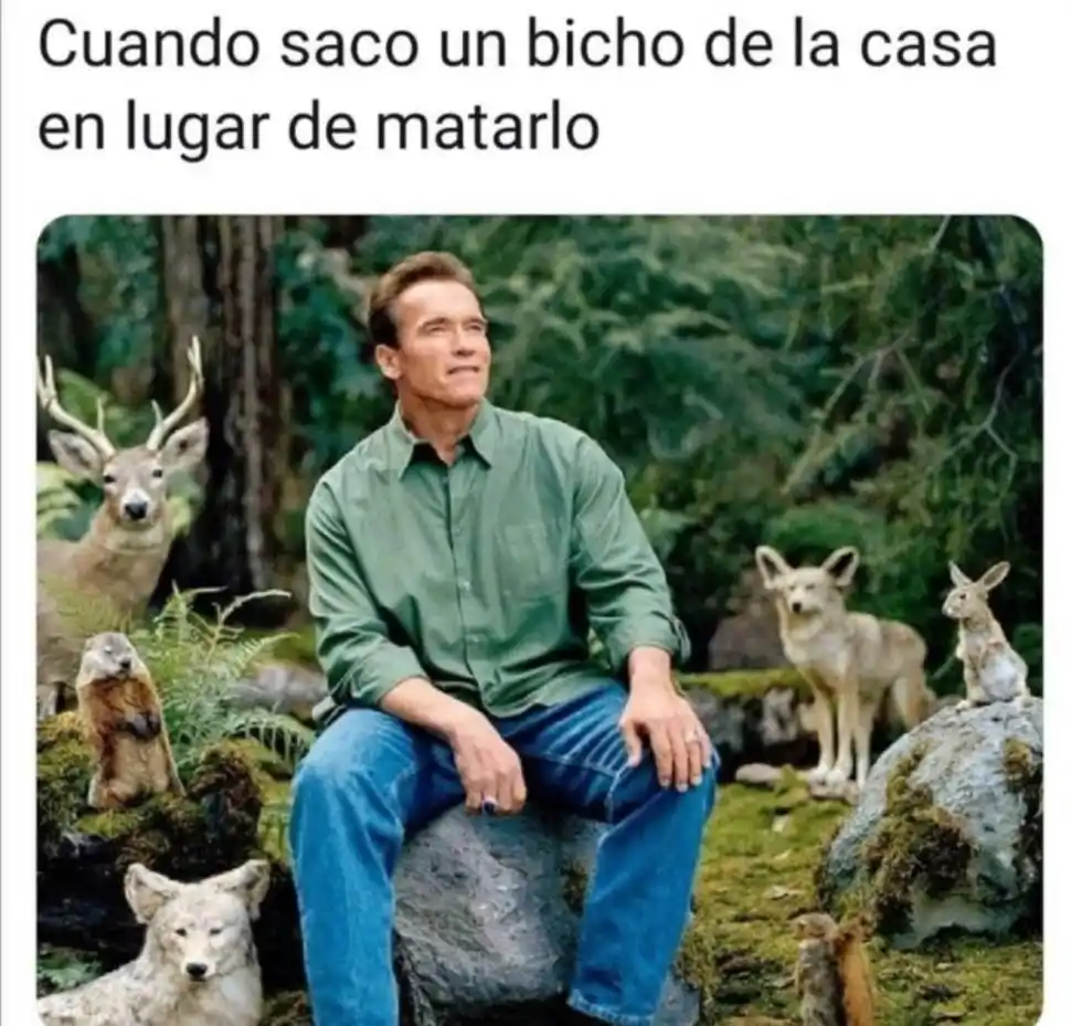 “Mrs. Pepita” y su “Memeterapia”, un servicio esencial en pandemia