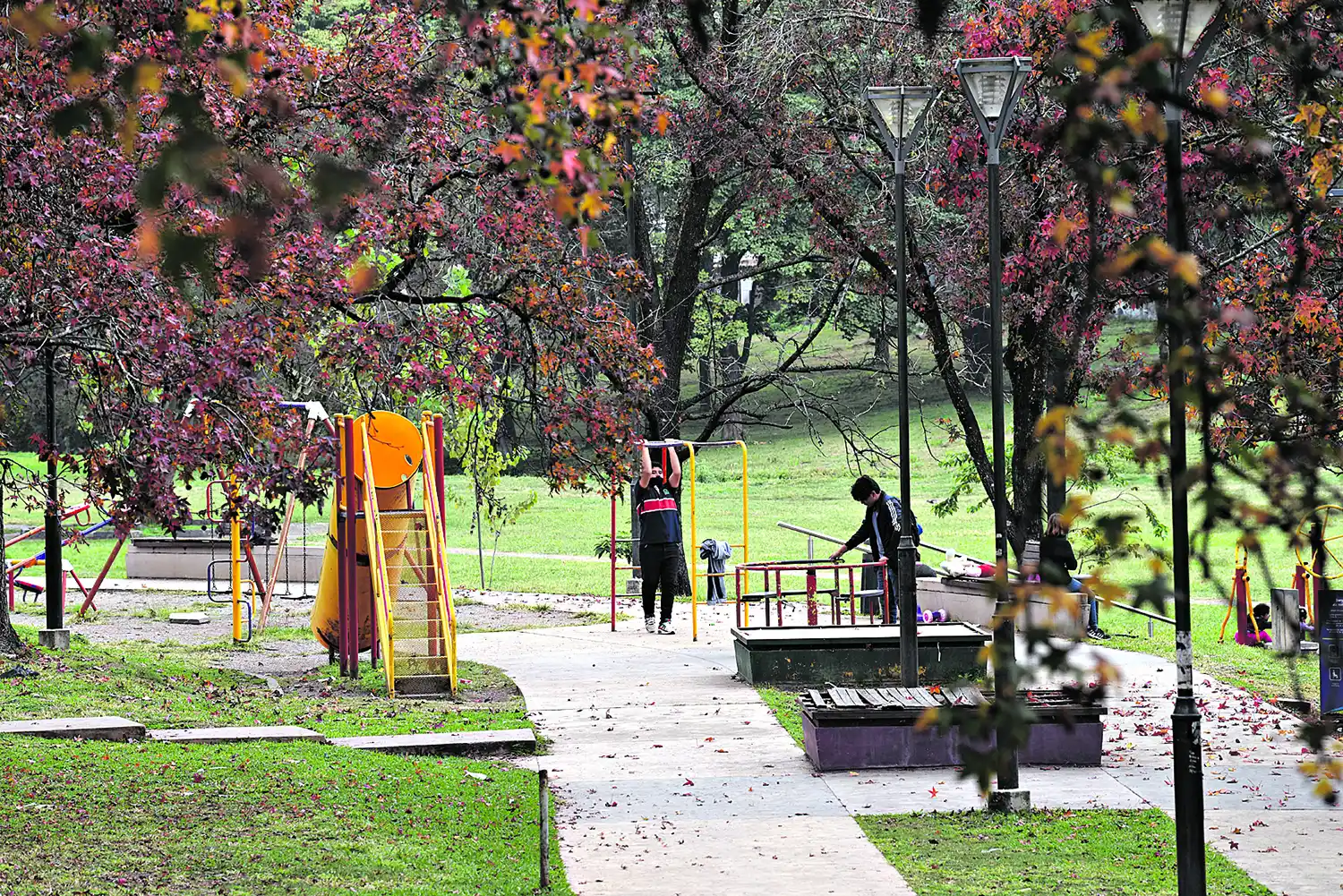 El suave otoño tucumano: el paisaje se resiste a perder todo su follaje