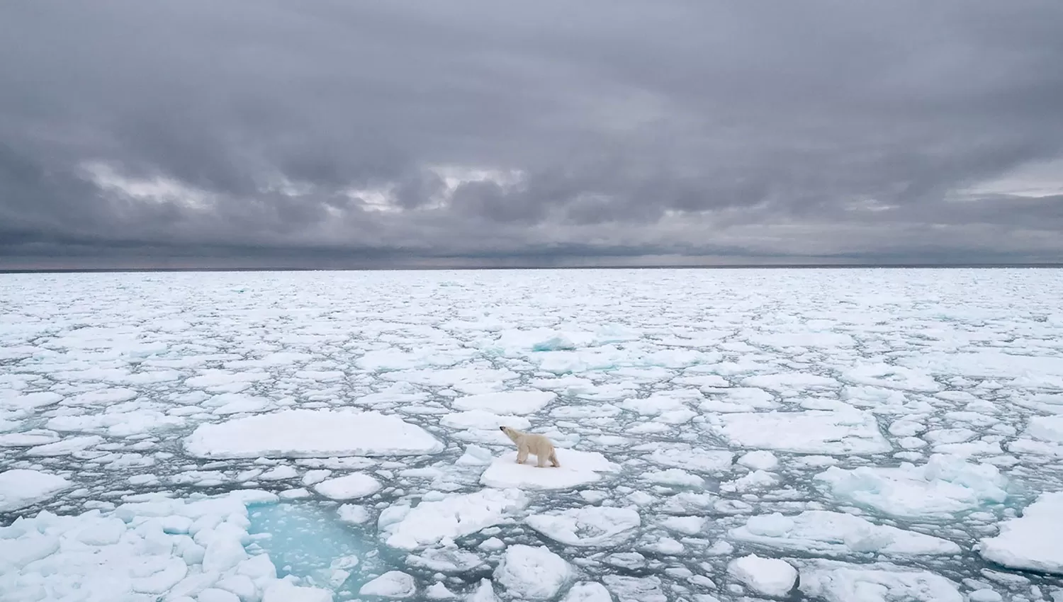 PREOCUPACIÓN. En menos de medio siglo, de 1971 a 2019, la temperatura media anual del Ártico subió 3,1 °C, frente al 1 °C del planeta.