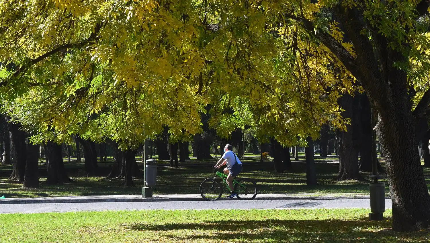 Síndrome de Burnout: qué es y quién puede padecerlo