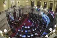 El Senado debate un proyecto para que los gobernadores no escapen de las restricciones
