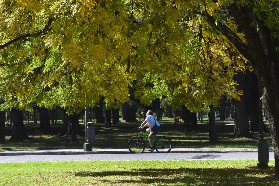 Síndrome de Burnout: qué es y quién puede padecerlo