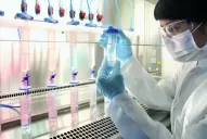 Estamos en negociaciones permanentes con el Ipsst, afirman bioquímicos