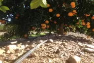 Los equipos de riego y su mantenimiento