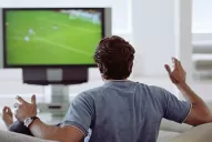 ¡A pegarse a la pantalla! La oferta es amplia y variada