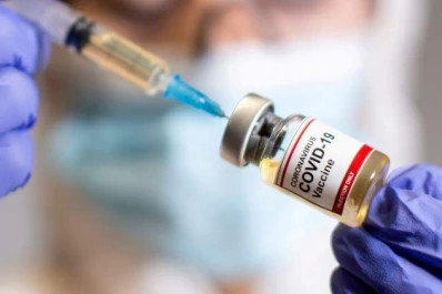 Detectan un nuevo coronavirus, surgido de la recombinación entre un virus canino y felino