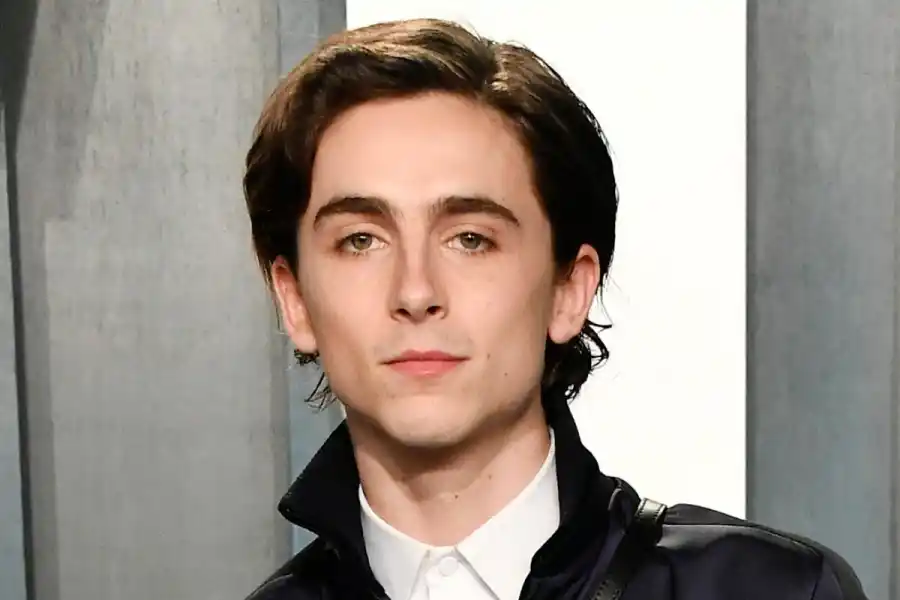 Precuela de Charlie y la fábrica de chocolate: quién será el joven Willy Wonka