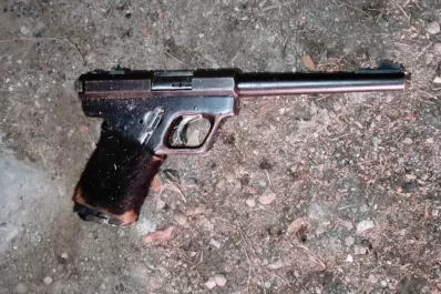 Seis asaltantes armados entraron a una casa y se llevaron motos, celulares y un perro