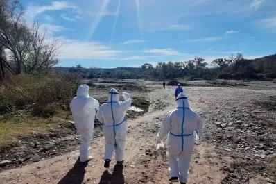 Tucumán se acerca al pico de casos diarios de coronavirus