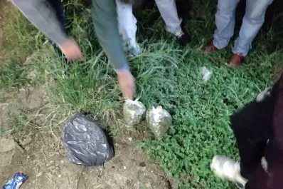 Piden que se debata la legalización del consumo de marihuana