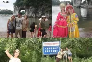 La misma especie, dos comportamientos