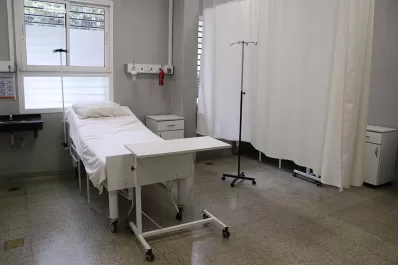 No sólo nos preocupa la salud, sino también el costo, dijo Vargas Aignasse sobre las internaciones