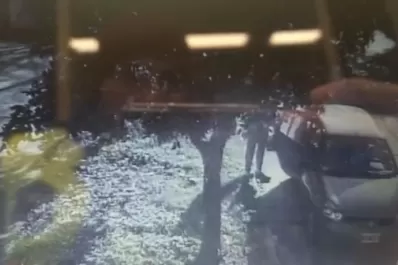 Un arma de juguete, clave en el caso de las flores