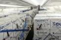 Llegaron al país otras 818.150 dosis de Sputnik V 