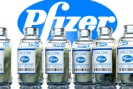 Aseguran que Fernández firmará un DNU para la compra de vacunas de Pfizer, Moderna y Janssen