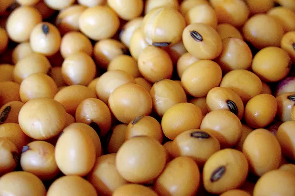 La nevada histórica en Brasil pone en peligro los cultivos