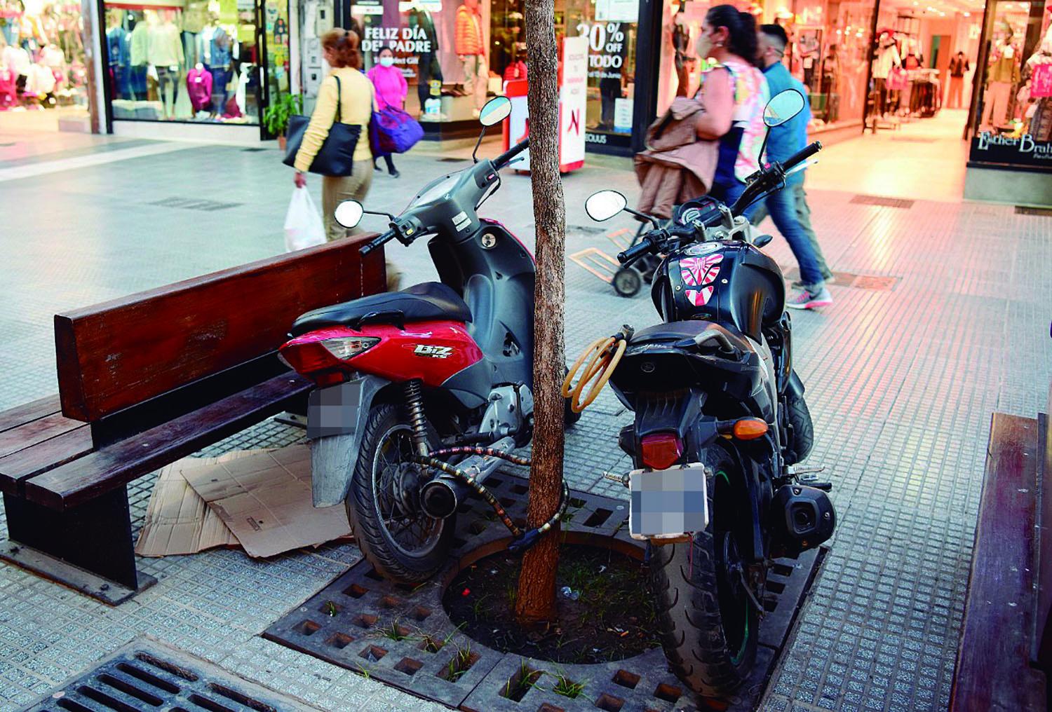 Postales de los excesos: es constante la falta de respeto a las normas y a los peatones