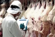No levantan la prohibición de exportar carnes, pero se armará una mesa de trabajo