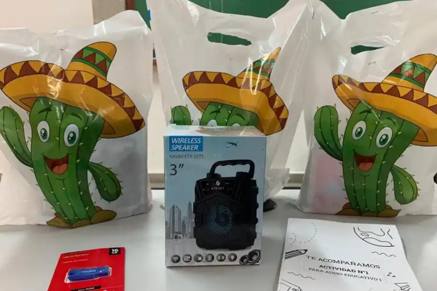 Desafío de pandemia: cómo alfabetizar en contextos vulnerables