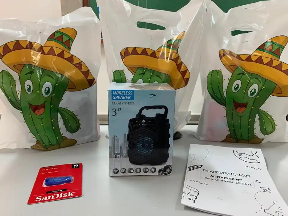 Desafío de pandemia: cómo alfabetizar en contextos vulnerables