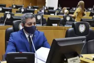 El Estado debe ayudar a incluir, aunque a Bussi le parezca una burrada, dijo Ferrazzano