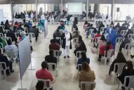 Los gráficos que muestran la radiografía de la vacunación contra el coronavirus en Tucumán