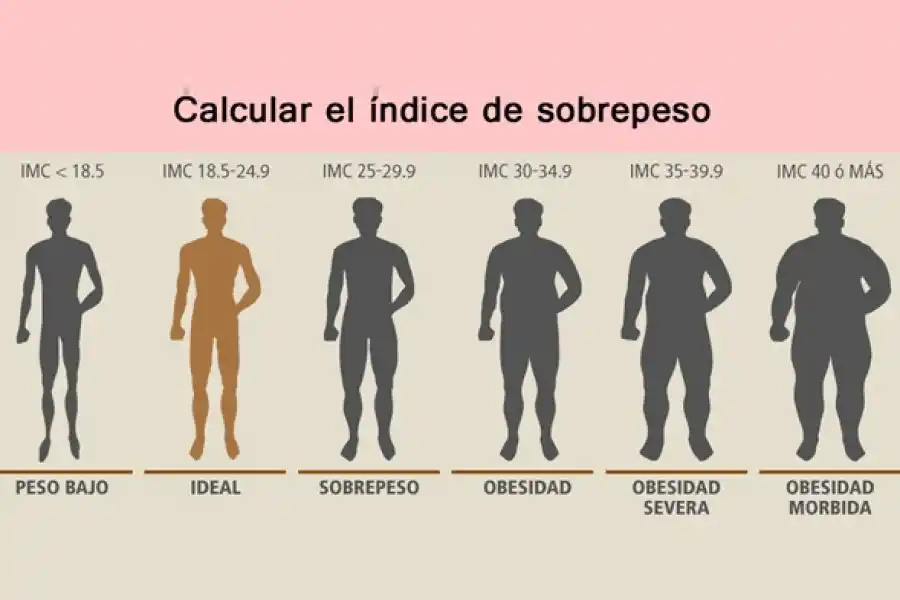 Cómo calcular y para qué sirve el índice de masa corporal