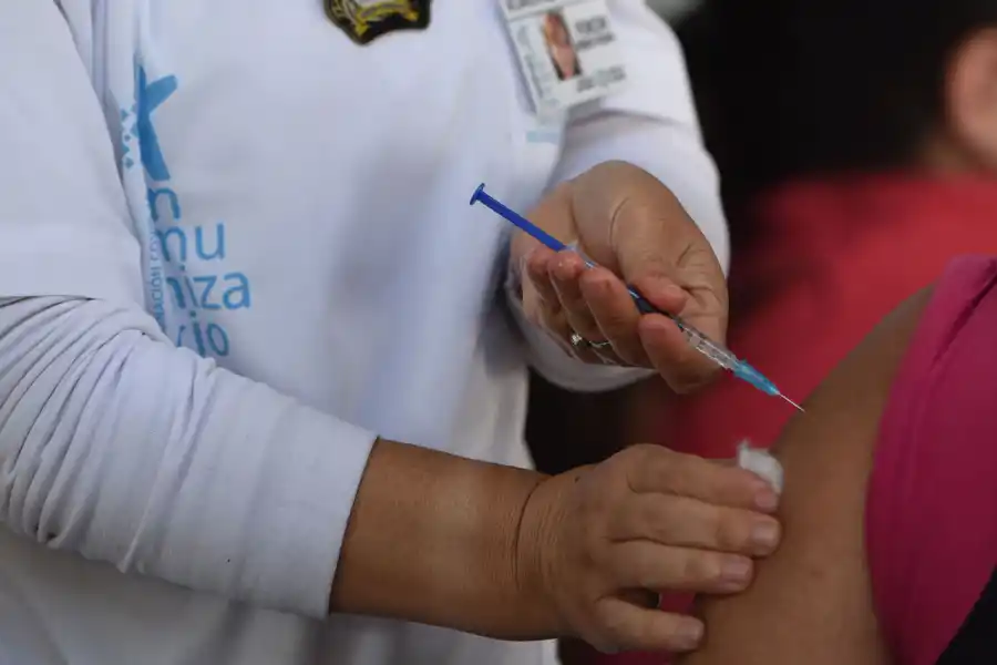 DATOS ESTADISTICOS. En la provincia ya se colocaron más de 580.000 dosis entre los dos componentes. LA GACETA