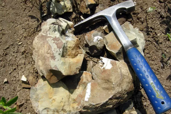 Estudiantes de Geología convocan a una protesta para exigir clases presenciales