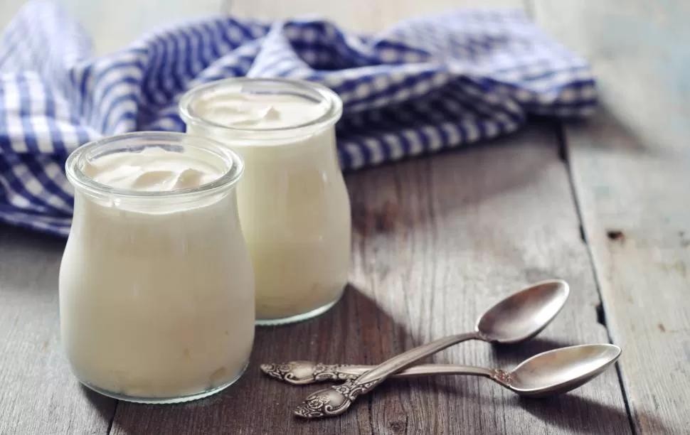 UNA OPCIÓN. El  yogur natural es uno de los alimentos con más probióticos. Tiene alrededor de 100 millones de bacterias. ARCHIVO LA GACETA 
