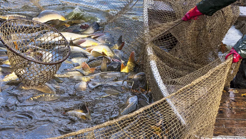 BUEN MOMENTO. En marzo la actividad pesquera marcó un crecimiento de casi el 60% interanual.