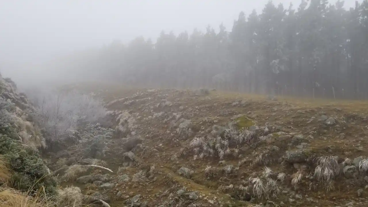 Video: el descenso de la temperatura dejó Tafí del Valle cubierta de nieve