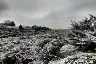 Manto blanco: así se vivió la nevada en Tafí del Valle