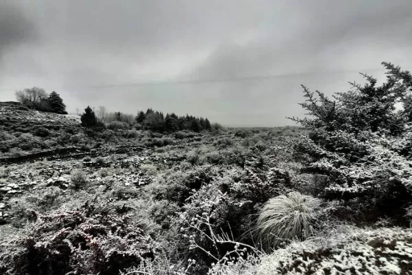 Manto blanco: así se vivió la nevada en Tafí del Valle