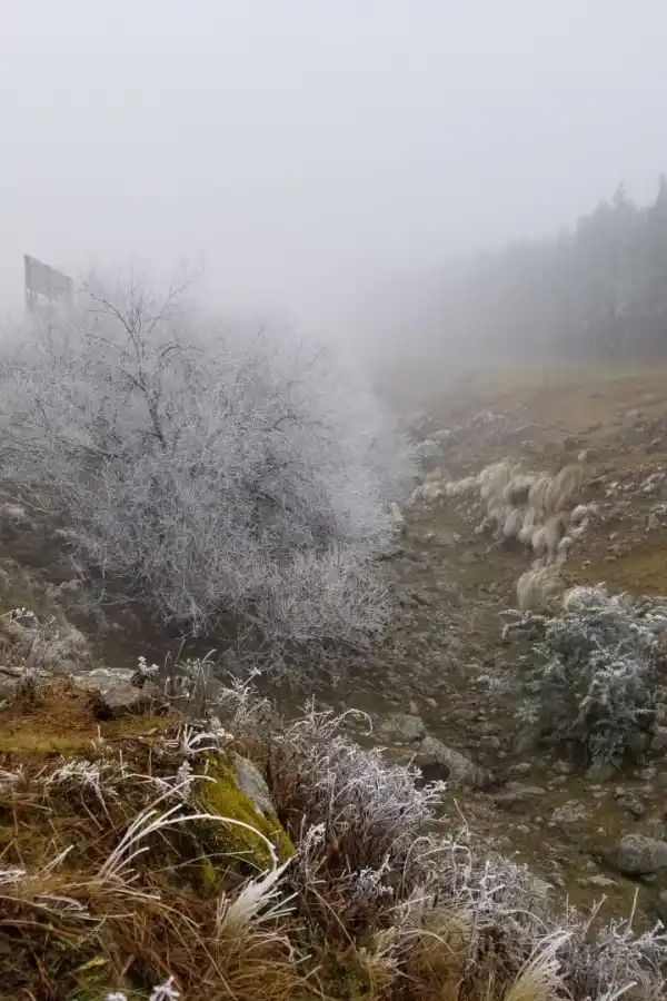 FOTO LA GACETA/MATÍAS VIEITO