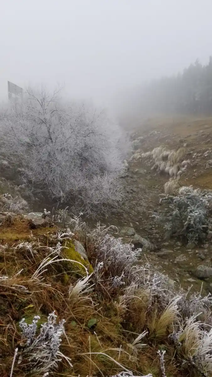 FOTO LA GACETA/MATÍAS VIEITO