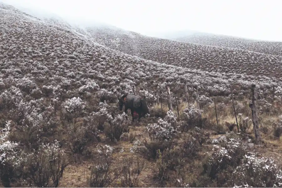 lgplay - fotos de matias vieito