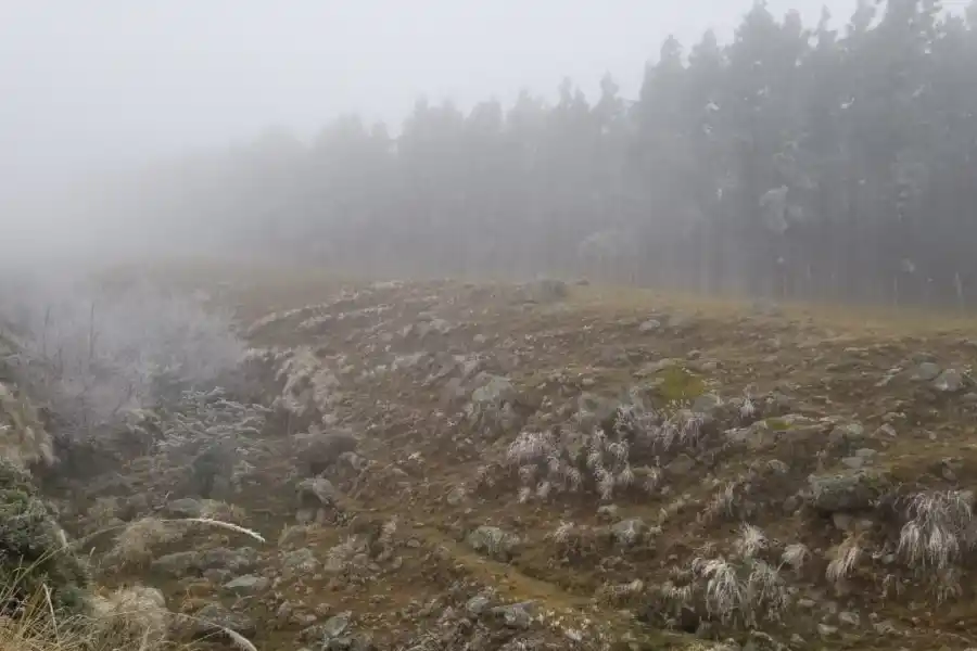 Video: el descenso de la temperatura dejó Tafí del Valle cubierta de nieve
