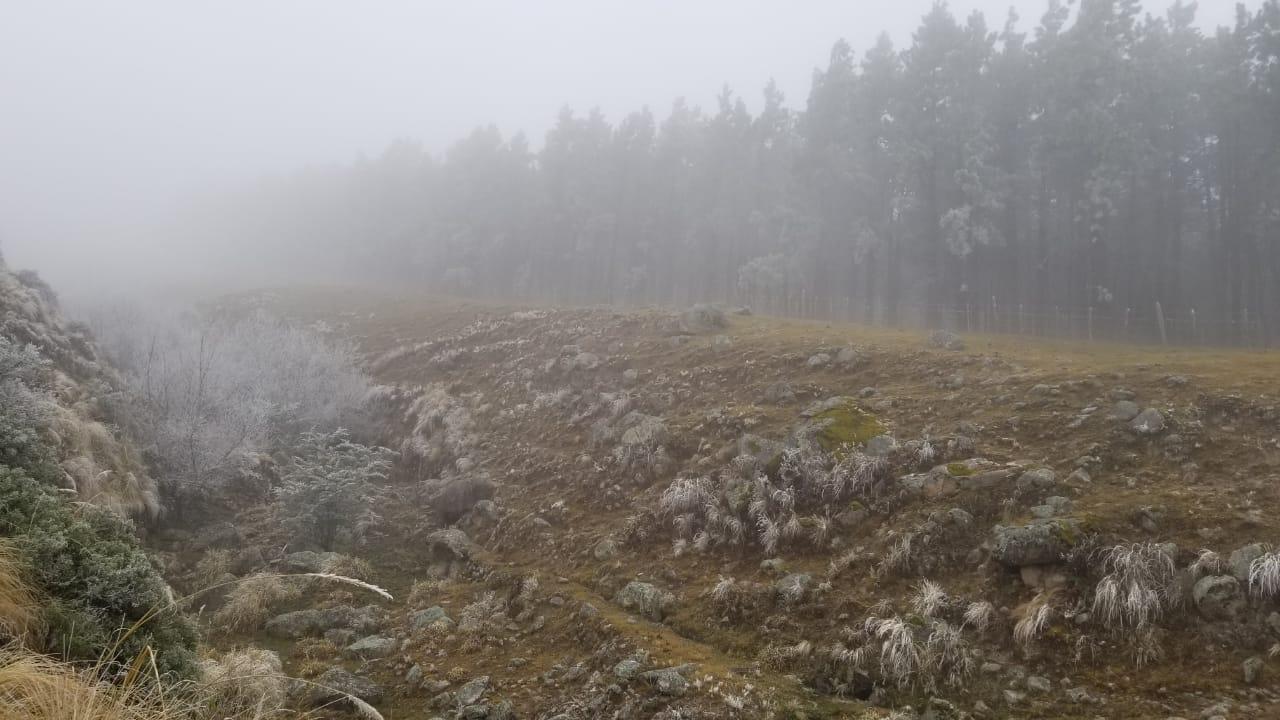 Video: el descenso de la temperatura dejó Tafí del Valle cubierta de nieve