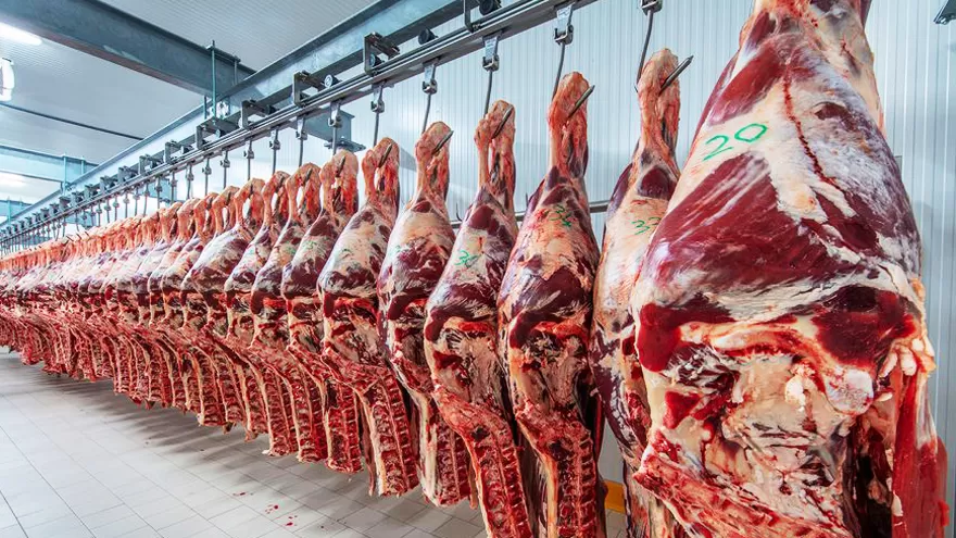 Confirmaron que la semana próxima se reabre la exportación de carne