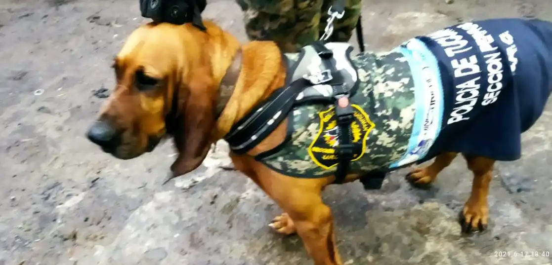 Wanda ayudó a la Policía a encontrar al sospechoso del femicidio de Gabriela Giménez