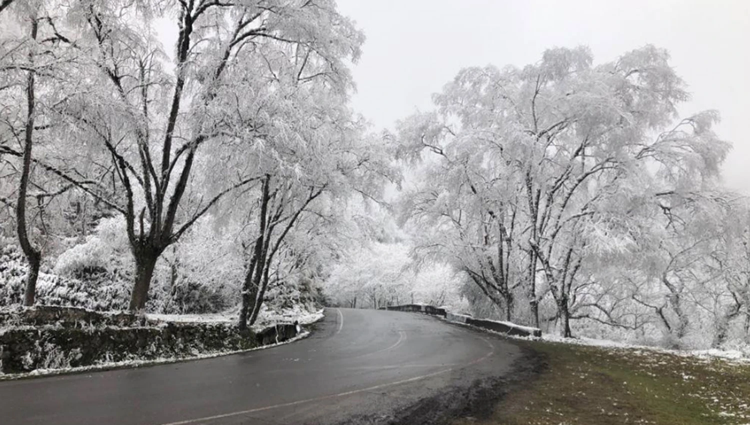 El camino a Tafi del Valle mostró paisajes tapados por la nevada de esta madrugada.