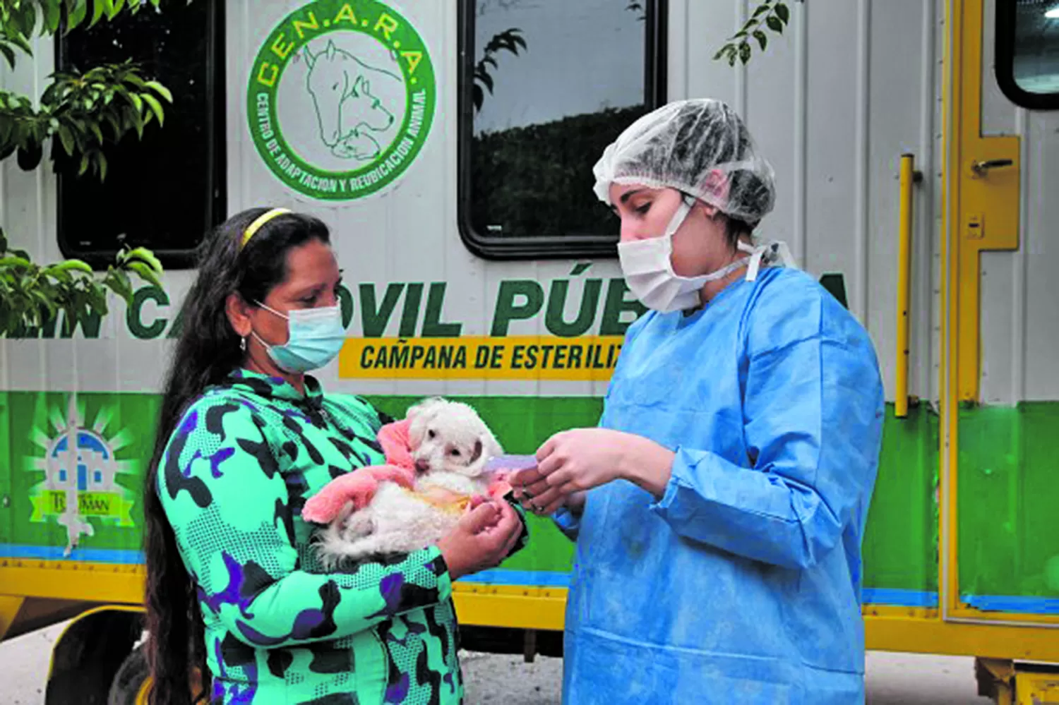 Castración de mascotas: qué barrios visitarán los quirófanos móviles