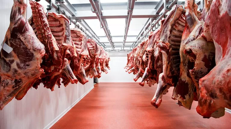 El martes se anunciará el nuevo esquema de exportación de carne vacuna