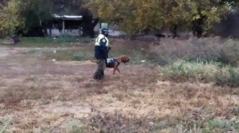 Wanda ayudó a la Policía a encontrar al sospechoso del femicidio de Gabriela Giménez