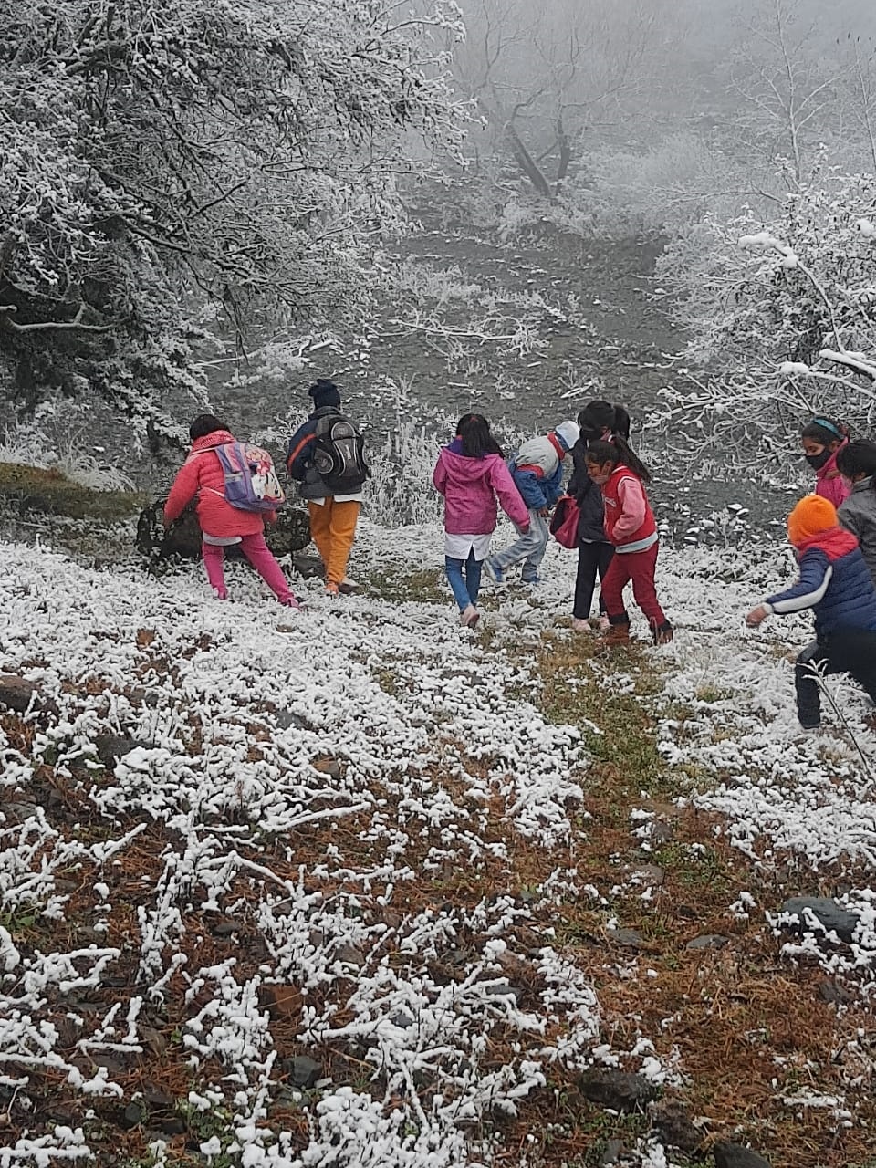 EL MEJOR MOMENTO. Los chicos salen a jugar en medio del campo nevado, como muestra la foto enviada por la maestra Claudia Figueroa.