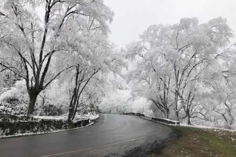 El camino a Tafi del Valle mostró paisajes tapados por la nevada de esta madrugada.