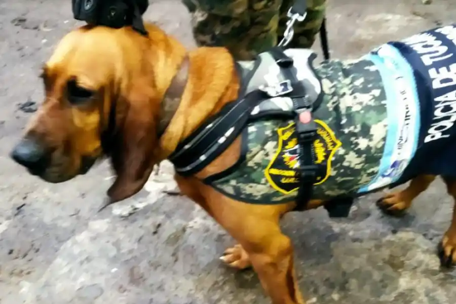 Wanda ayudó a la Policía a encontrar al sospechoso del femicidio de Gabriela Giménez