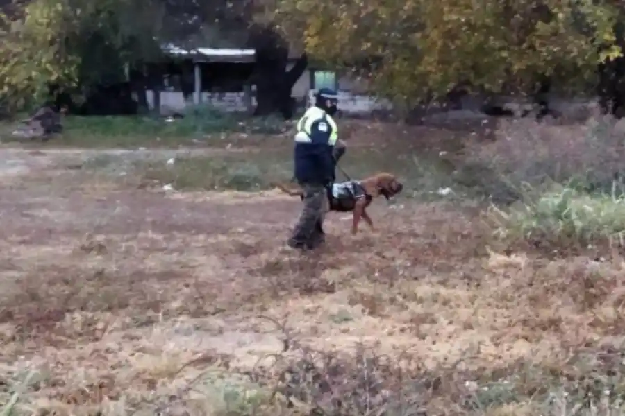 Wanda ayudó a la Policía a encontrar al sospechoso del femicidio de Gabriela Giménez